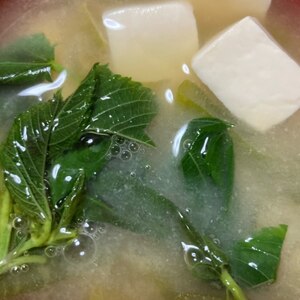 モロヘイヤと豆腐のシンプル味噌汁